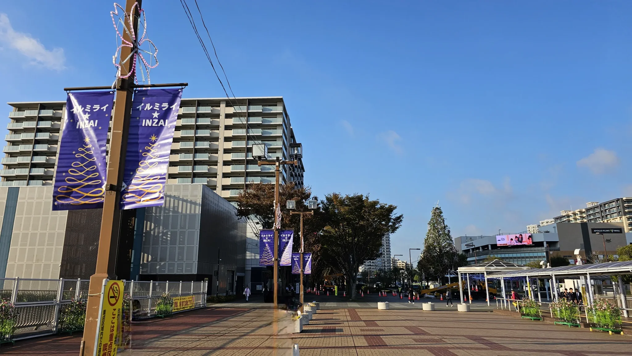 昼間北方向に見える装飾された木々と一本の大きなクリスマスツリー