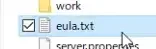 17-mcsv-eula-txt